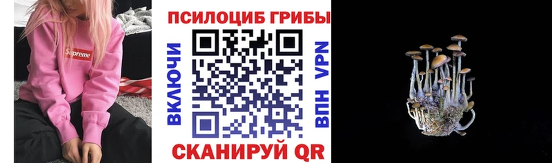Купить закладки  Инза  Галлюциногенные грибы Psilocybe 